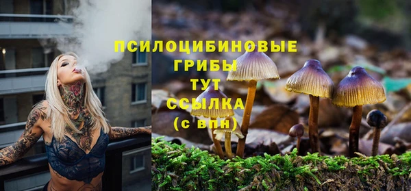 скорость mdpv Осташков