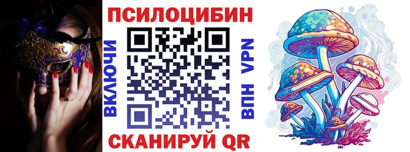 дарнет шоп  Светлогорск  Псилоцибиновые грибы Psilocybine cubensis 